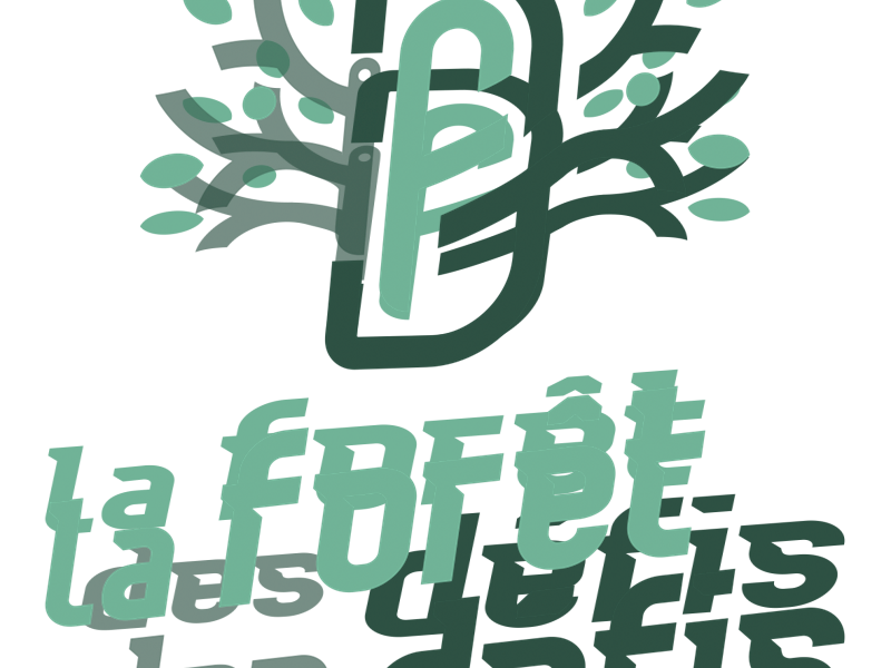 LA FORET NOCTURNE La forêt des défis Bitche