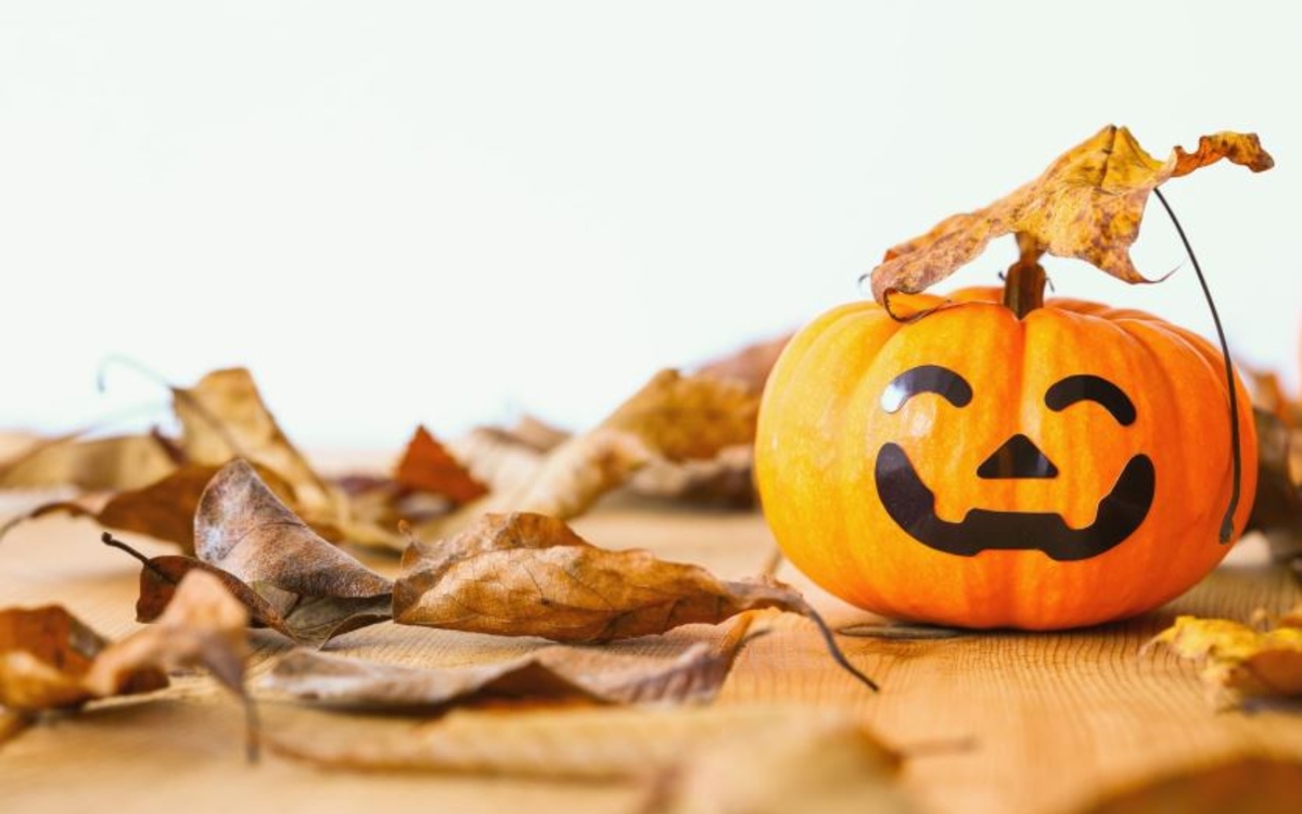 La Grande journée Halloween Bibliothèque Maurice Genevoix Paris