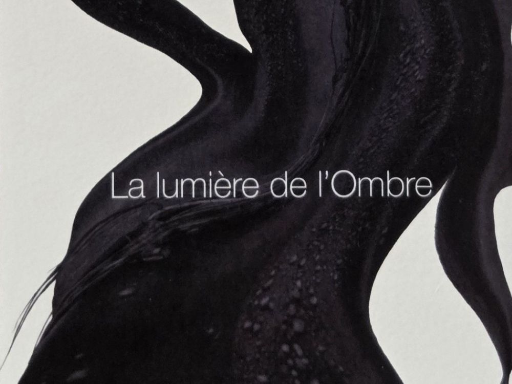 LA LUMIÈRE DE L’OMBRE (MATIÈRES NOIRES) L’ISBA Perpignan