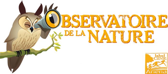 La nuit de la chauve-souris, Observatoire de la nature, Colmar