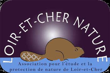 La Nuit de la chauve-souris Salle des associations Valencisse
