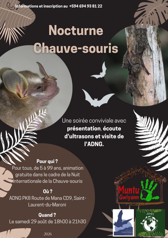La Nuit des Chauves-souris de l&rsquo;Ouest Guyanais, ADNG, Saint-Laurent-du-Maroni