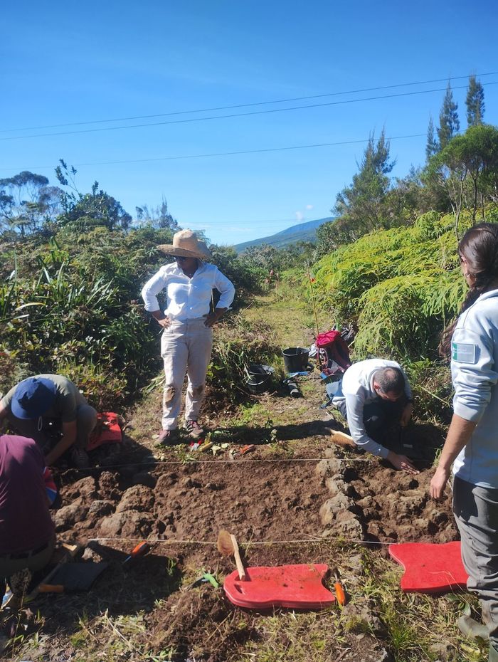La Pandanaie : de l’histoire à l’action, Forêt de Sainte-Marguerite, Saint-Benoît