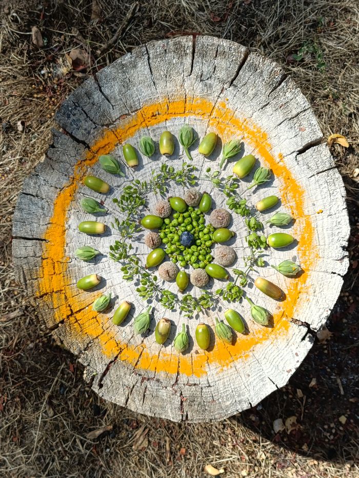 Landart Base de loisirs d'Étampes Angos