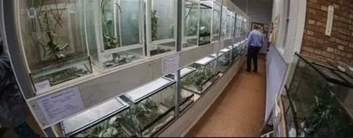 L’AQUAVIVARIUM, Centre Albert Camus, Grande-Synthe