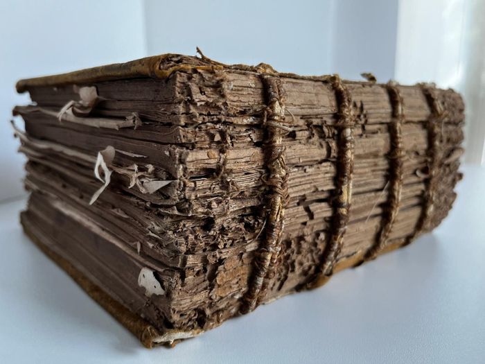 L’archéologie du livre ancien, Mediathèque Philippe Labeyrie, Mont-de-Marsan