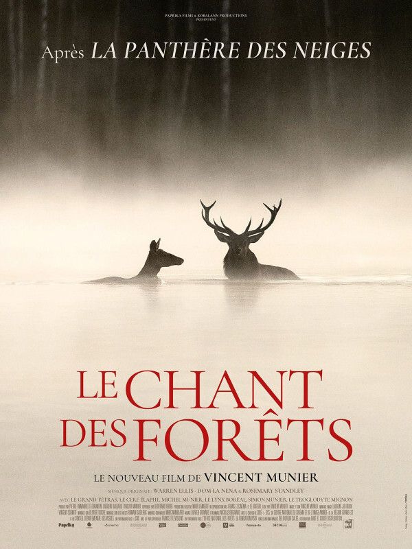 Le Chant des forêts L'Atalante Bayonne