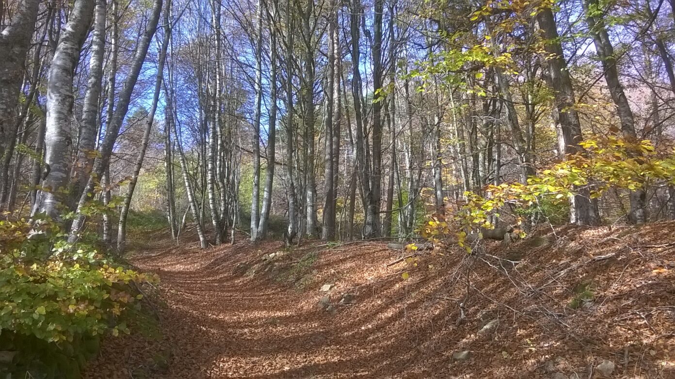 LE CHEMIN D’ESFAGOUX RANDONNÉE ET PATRIMOINE Luc