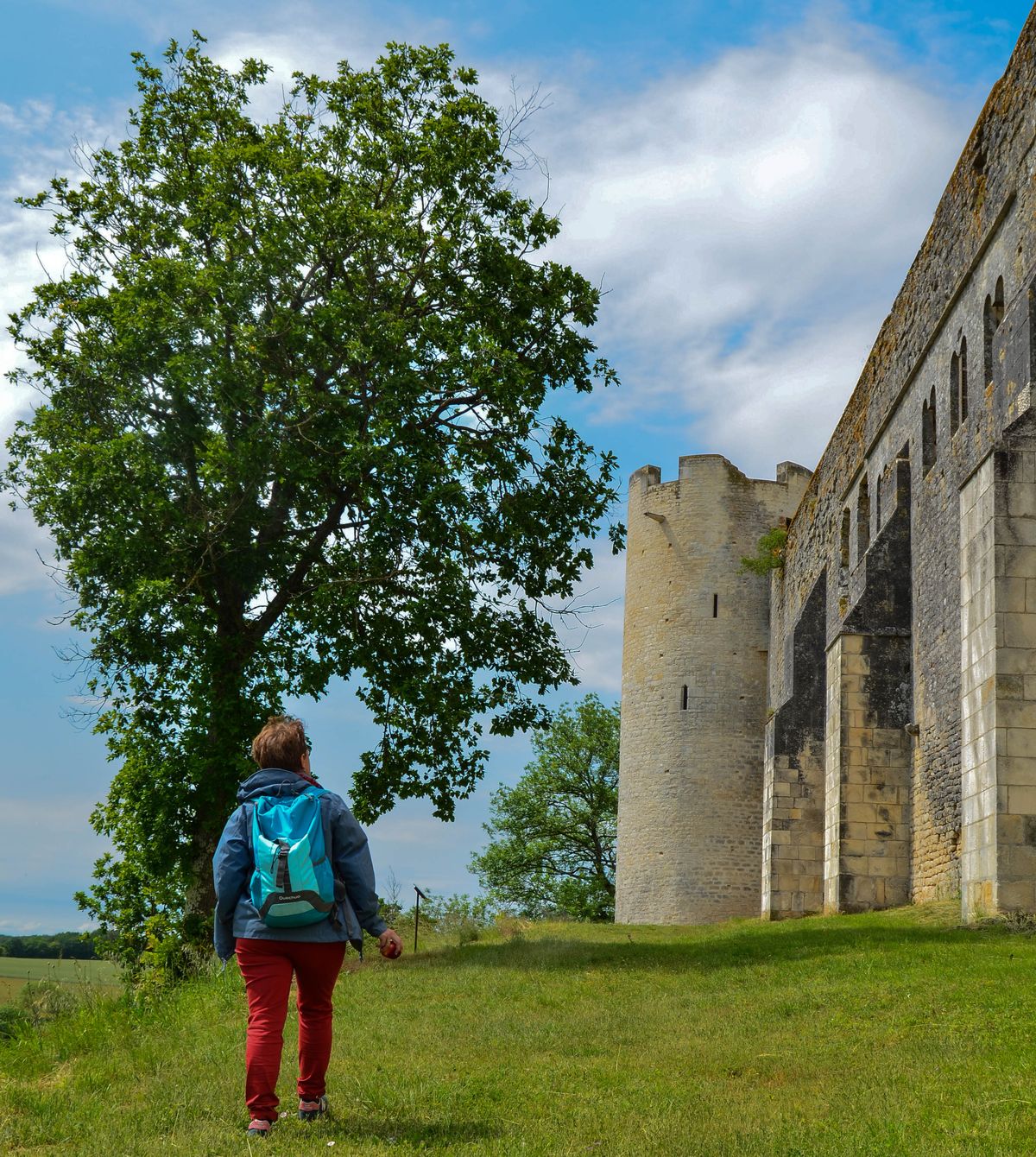 Le défi du Comte de Nevers 17 Rue du Château Fort Druyes-les-Belles-Fontaines 2026-09-19