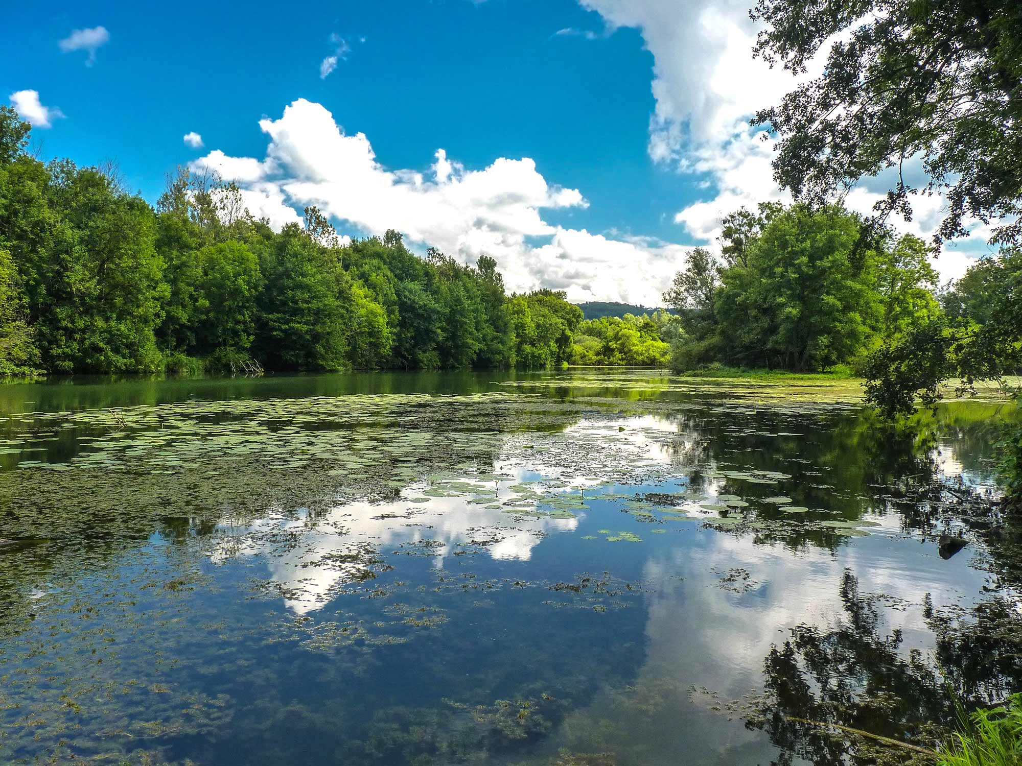Le Marais de Saône Parking Saône