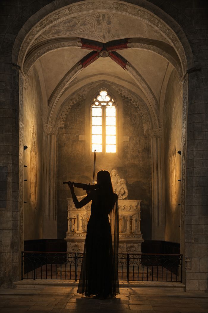 Le patrimoine sublimé par la musique : concert de violon en la Collégiale Saint-Salvi, Église Saint-Salvy, Albi
