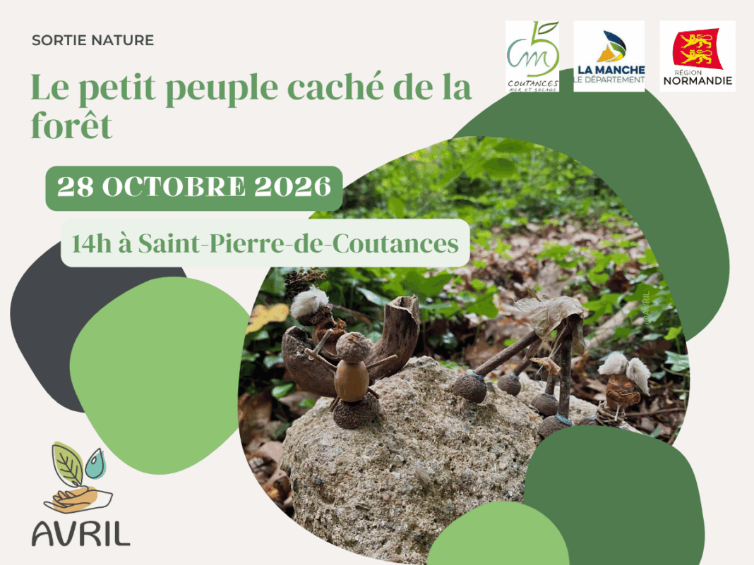 Le petit peuple caché de la forêt  Saint-Pierre-de-Coutances