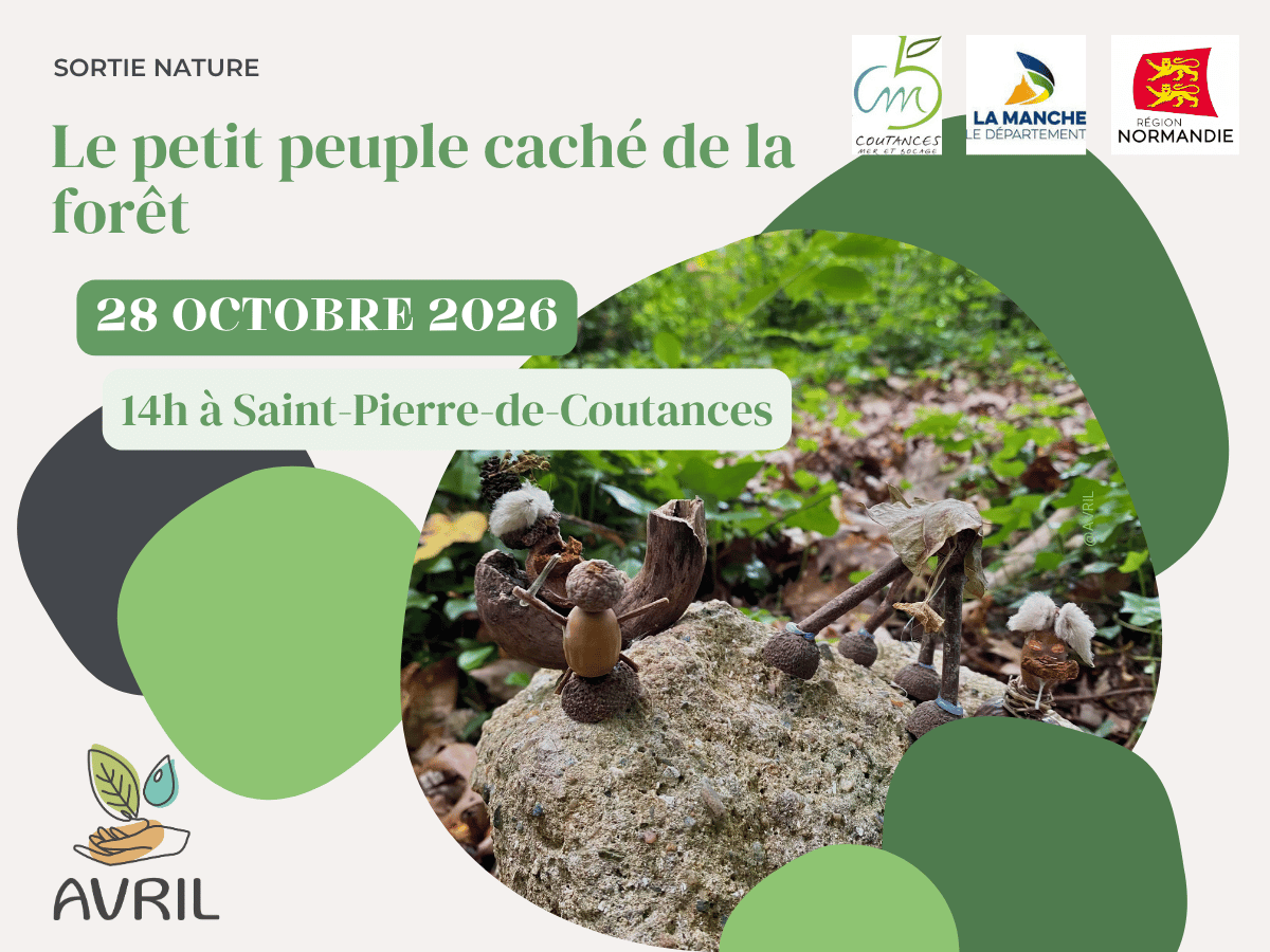 Le petit peuple caché de la forêt  Saint-Pierre-de-Coutances 2026-10-28