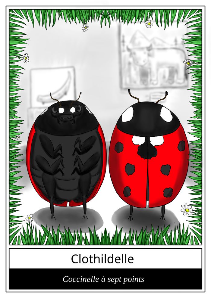 Le « Qui est-ce » des insectes !, Musée archéologique de la ville de Chelles Alfred-Bonno, Chelles
