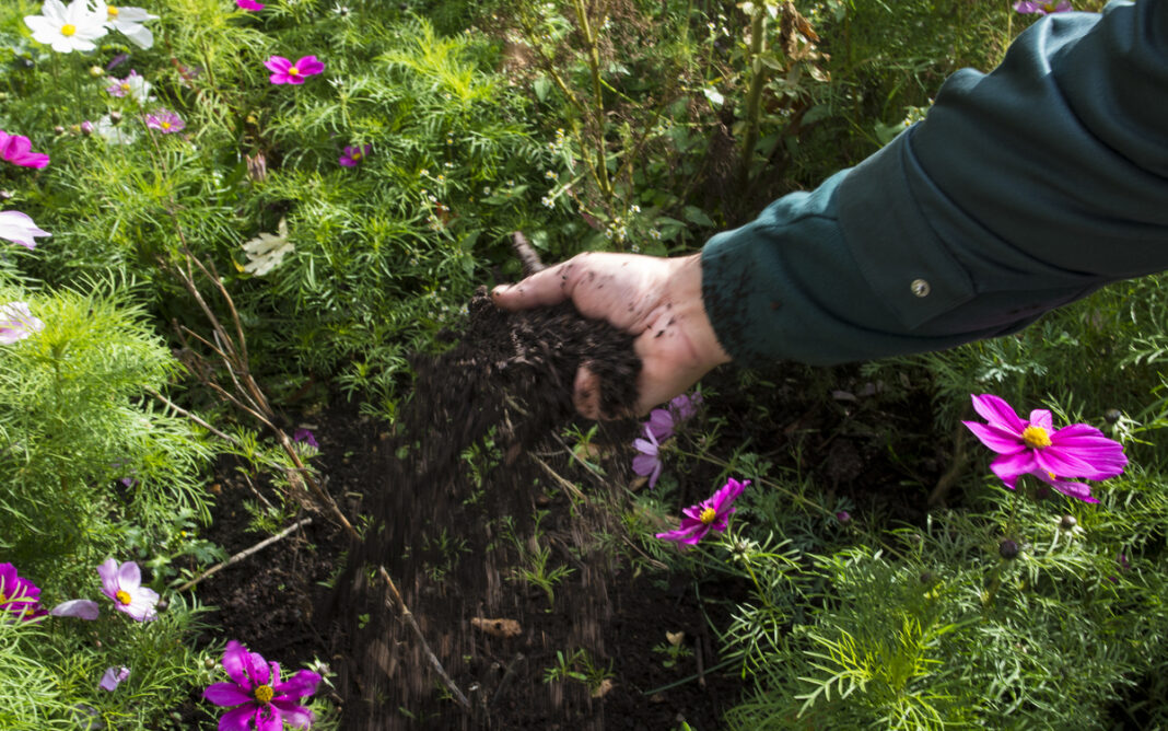 Le samedi du compostage Maison du Jardinage et du Compostage PARIS