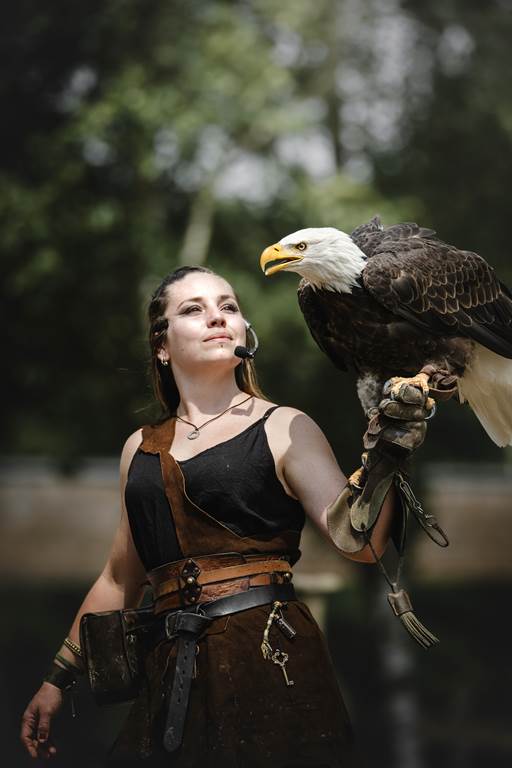 Le Vol des oiseaux spécial Viking RD 946 Olizy-Primat