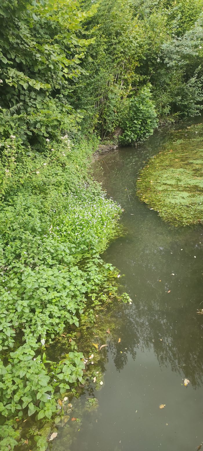 L’eau: un patrimoine précieux à préserver, Salle des fêtes de Turny, Turny