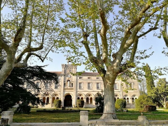 L’école du Petit Castelet Visites commentées, Ecole du petit castelet, Tarascon