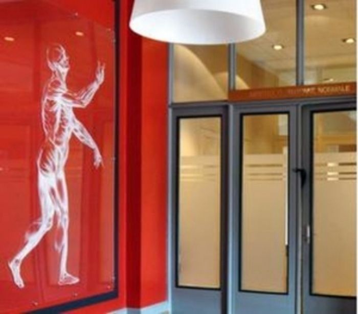 Les collections de l’Institut d’anatomie normale, Institut d’anatomie normale, Strasbourg