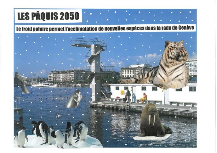 LES PÂQUIS DU FUTUR Bibliothèque des Pâquis Genève