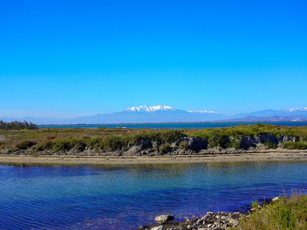 LES PIEDS DANS L EAU  Le Barcarès