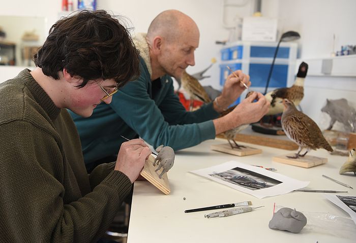 Les secrets de la taxidermie, rencontre-métier., Château et musée de Montbéliard, Montbéliard
