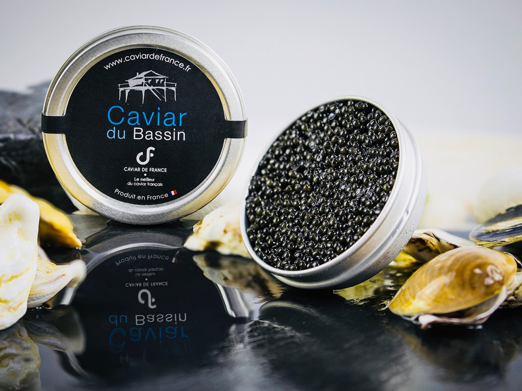 Les secrets du caviar visite d’une esturgeonnière route de la Cassadotte Biganos