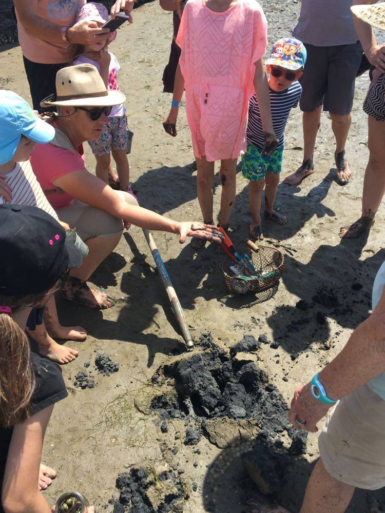 Les trésors de la plage à marée basse Devant l&rsquo;étang David Allègre Andernos-les-Bains