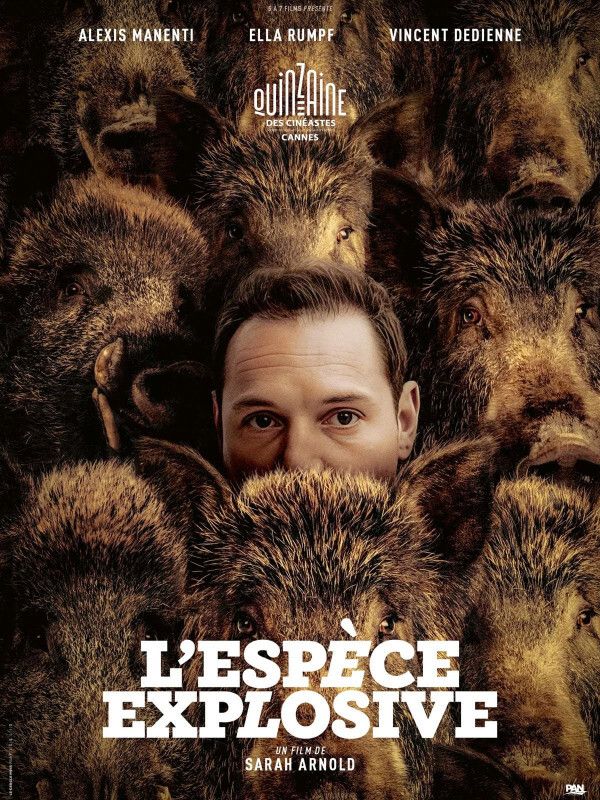 L'Espèce explosive Cameo Commanderie Nancy