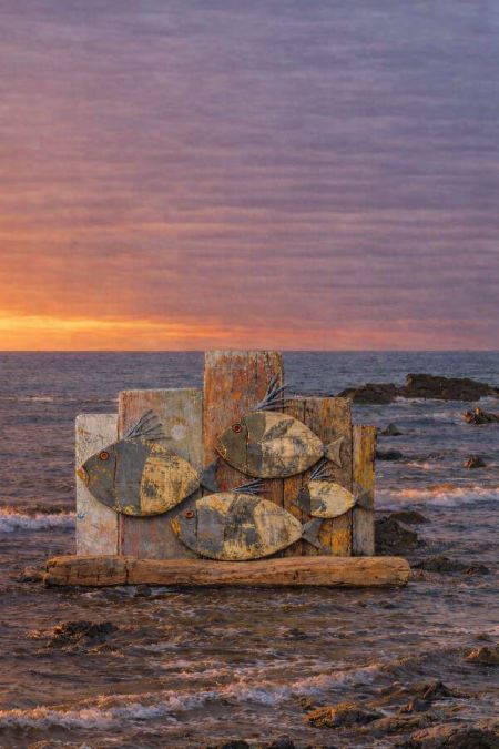 L’Expo du bord de mer, par Dominique Ledentu Médiathèque du Bord de Mer La Hague