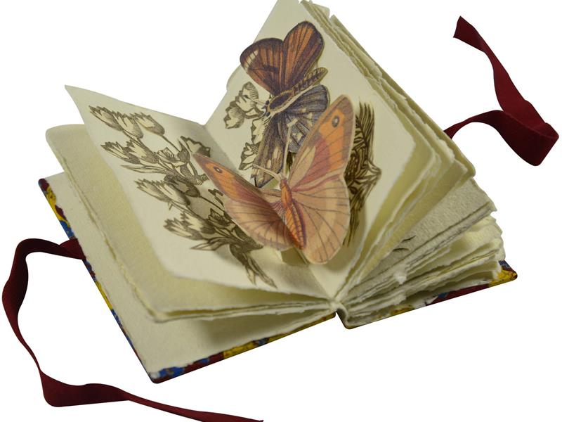 Livres d&rsquo;artistes La nature à l&rsquo;oeuvre  Thionville