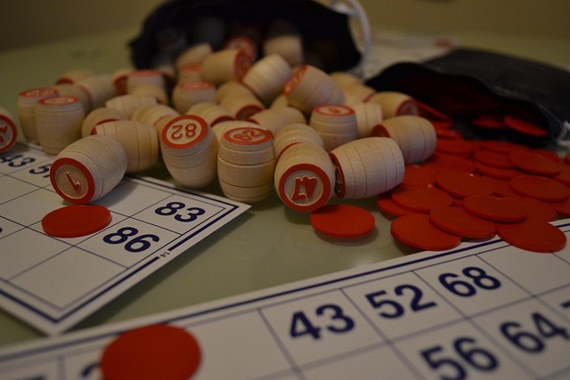 Loto Salles des fêtes Phénix Moissannes