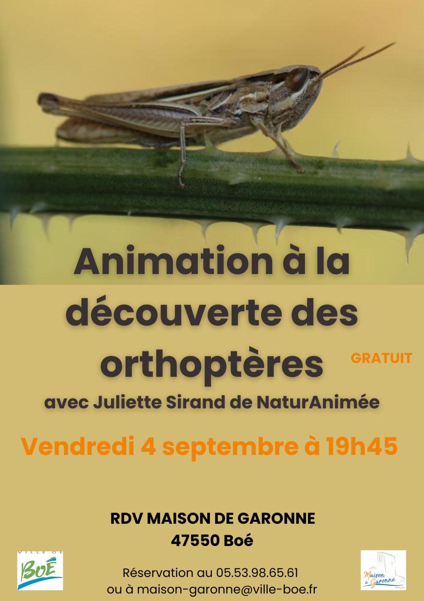 Maison de Garonne Animation à la découverte des orthoptères tout public Maison de Garonne Boé