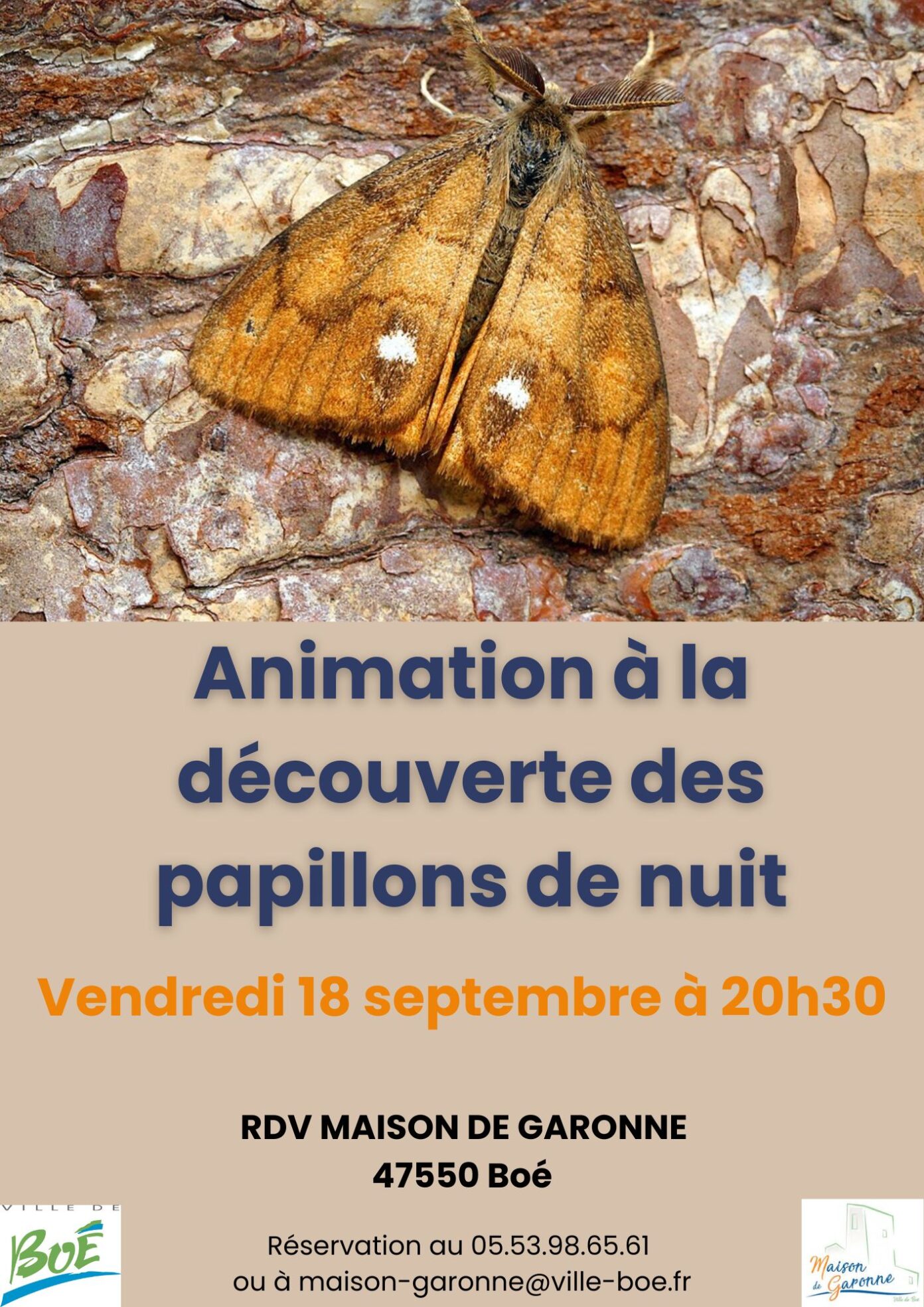 Maison de Garonne Animation découverte des papillons de nuit tout public Maison de Garonne Boé