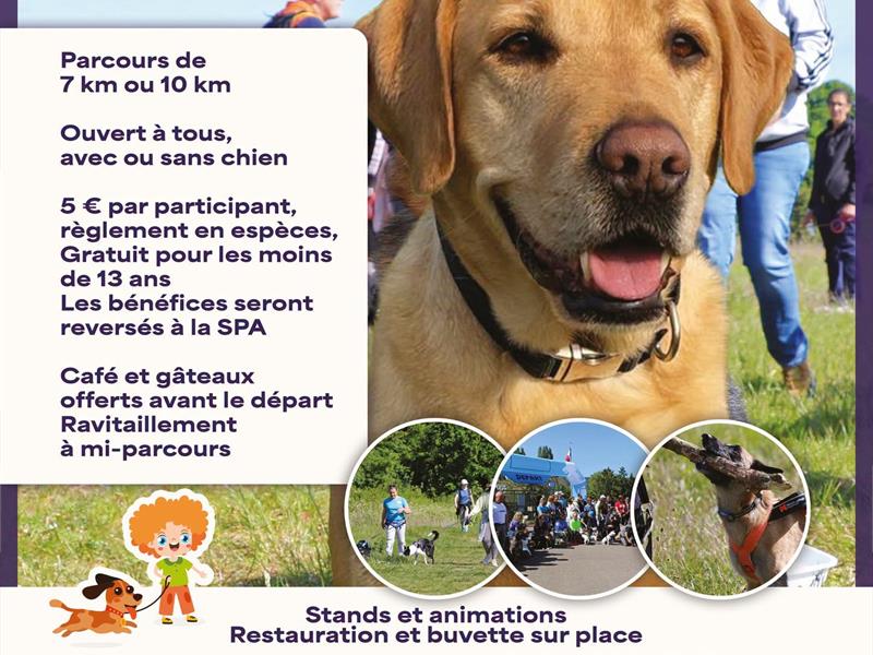 Marche canine Parc du Château de Nilvange Nilvange