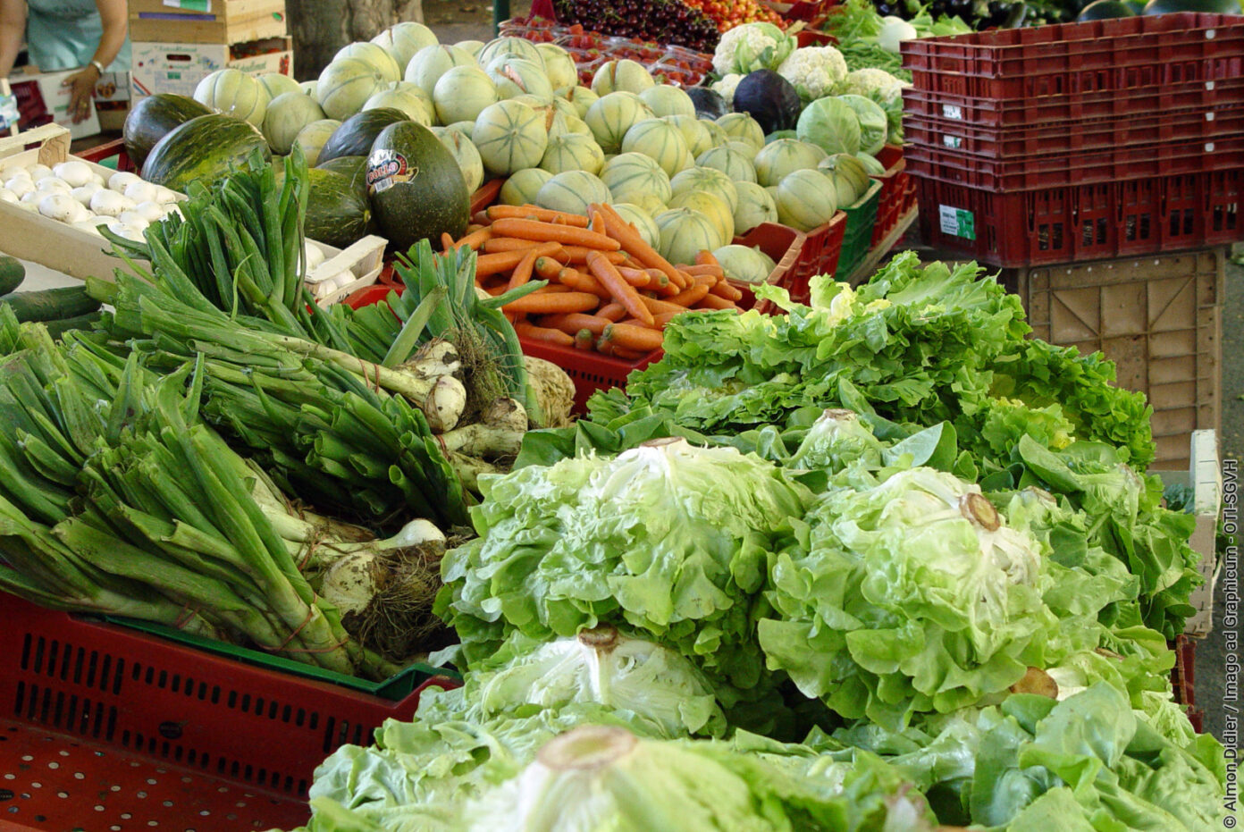 MARCHÉ DE MONTPEYROUX Montpeyroux
