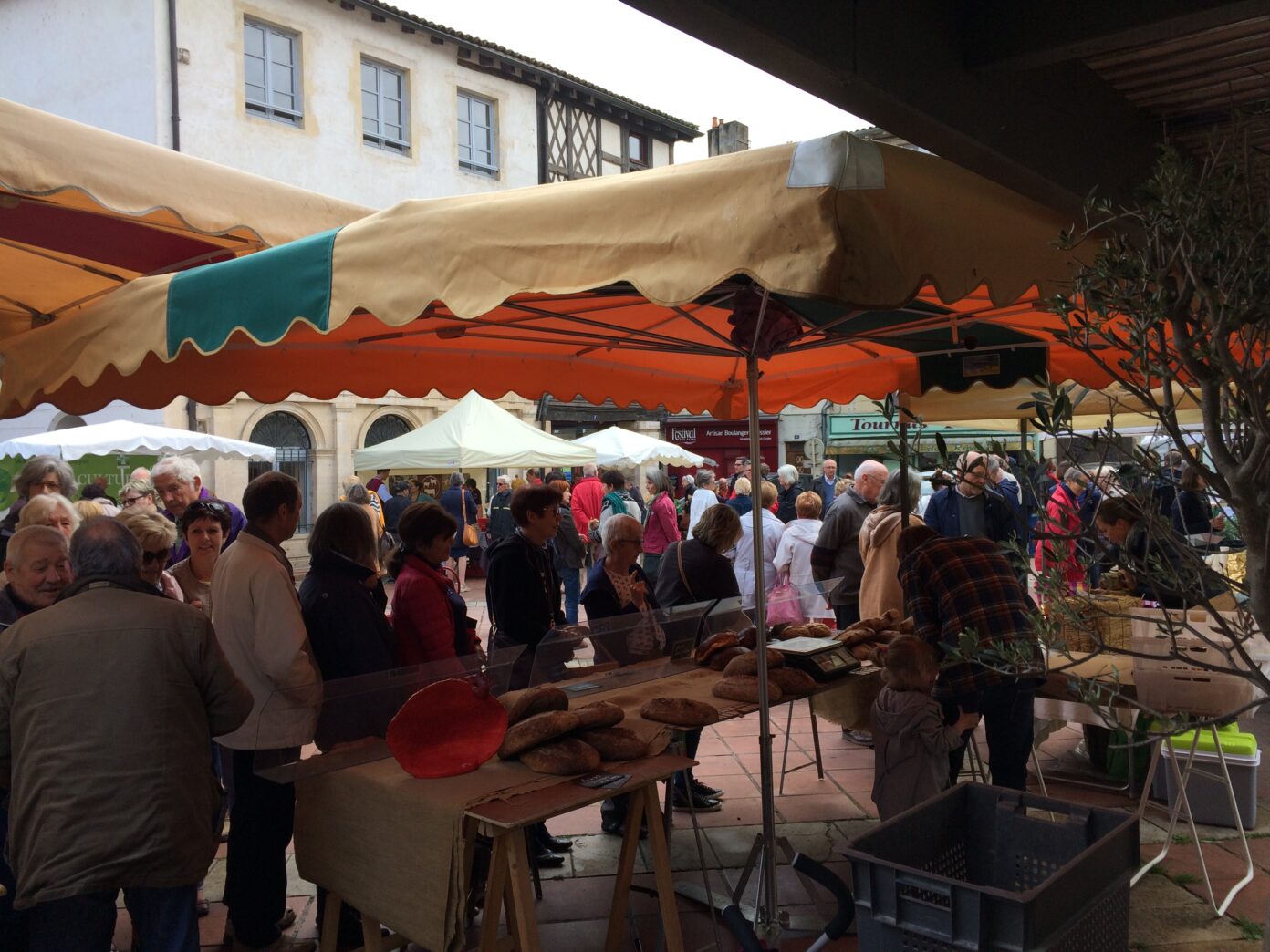 Marché de Producteurs Locaux place Carnot Tournus