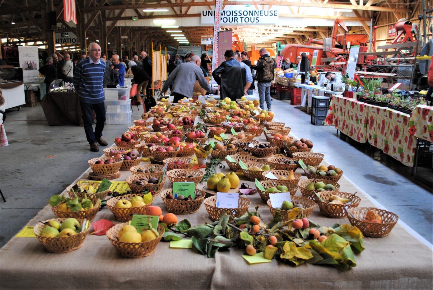 Marché du Terroir au MUMAR (Musée de la Machine Agricole) Musée de la Machine Agricole et de la Ruralité (le MUMAR) Saint-Loup-des-Bois