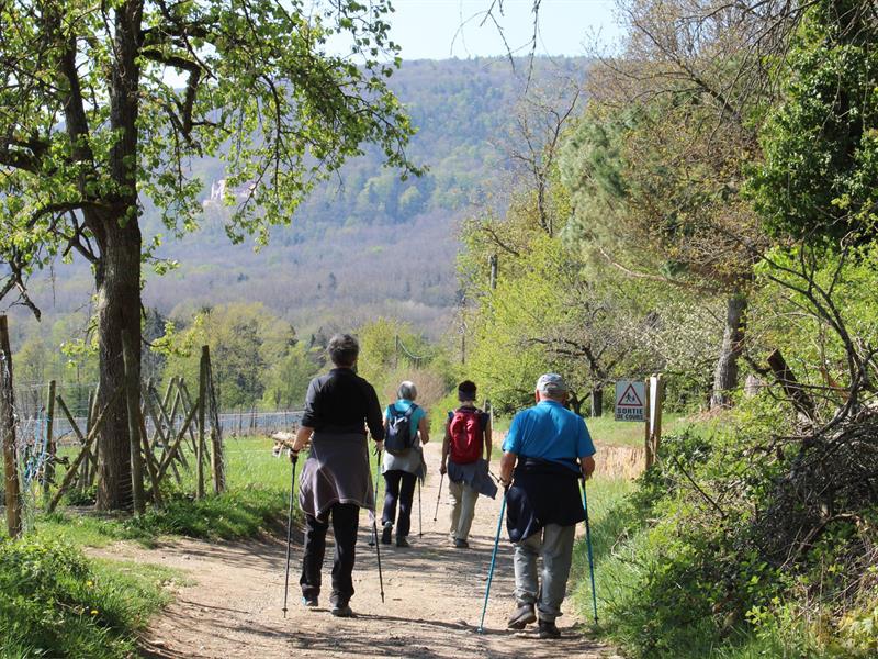 Marche gourmande d&rsquo;automne  Westhalten