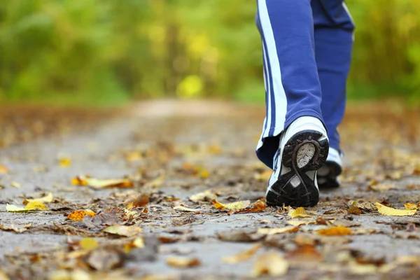 Marche ressourçante et stretching Bourbonne-les-Bains