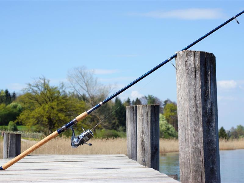 Matinées de pêche Wœrth