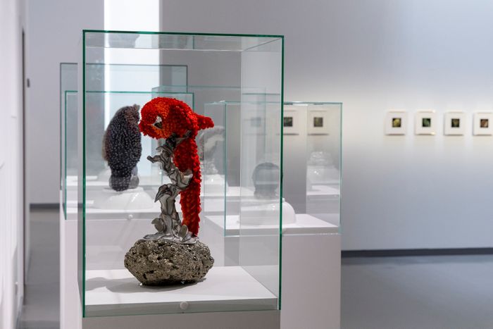 Maurizio Galante & Tal Lancman : Haute Couture, Design, Art, Musée des beaux-arts de Calais, Calais