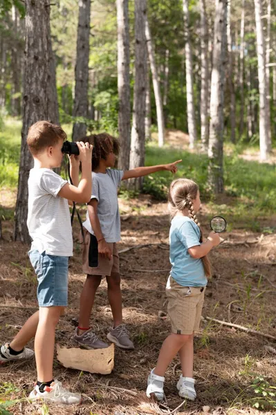 Mémoires de la forêt, la chasse aux souvenirs  Aubin