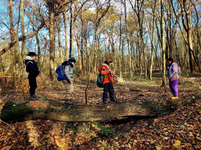 « Mercredi j&rsquo;ai forêt ! » à Saint-Germain-en-Laye, Forum des Halles, Paris