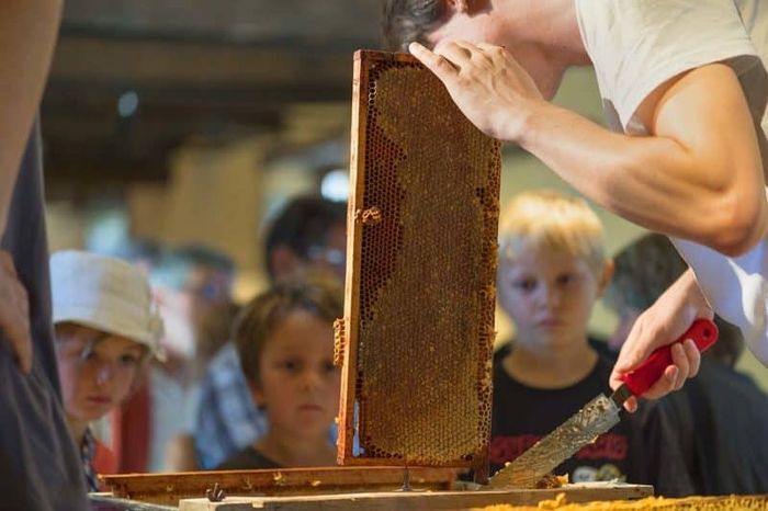 Miel et abeilles, Route de Châtillon sur Seiche 35200 Rennes, Noyal-Châtillon-sur-Seiche