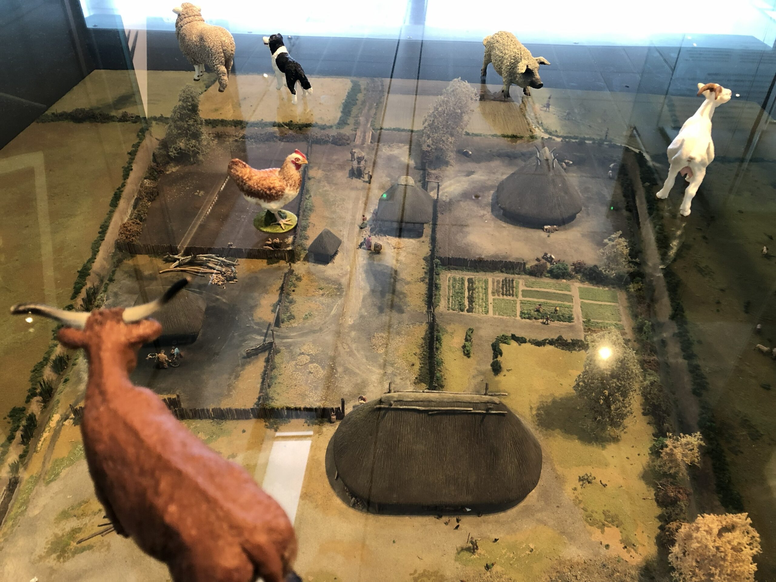 Musée décalé
