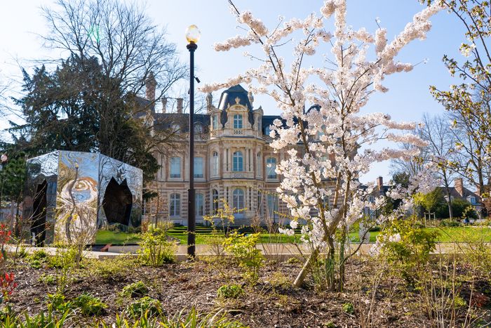 Muséobébé : Regarde dans le jardin, Musée du vin de Champagne et d’archéologie régionale, Épernay