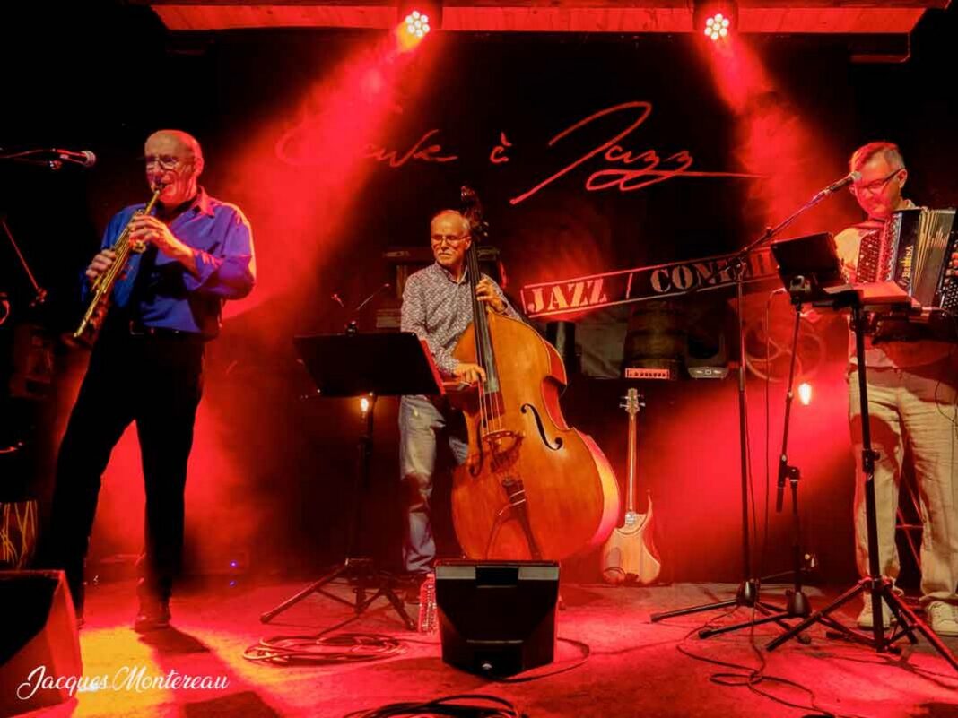 MUSICOLORIS TRIO WORLD MUSIC  Montazels