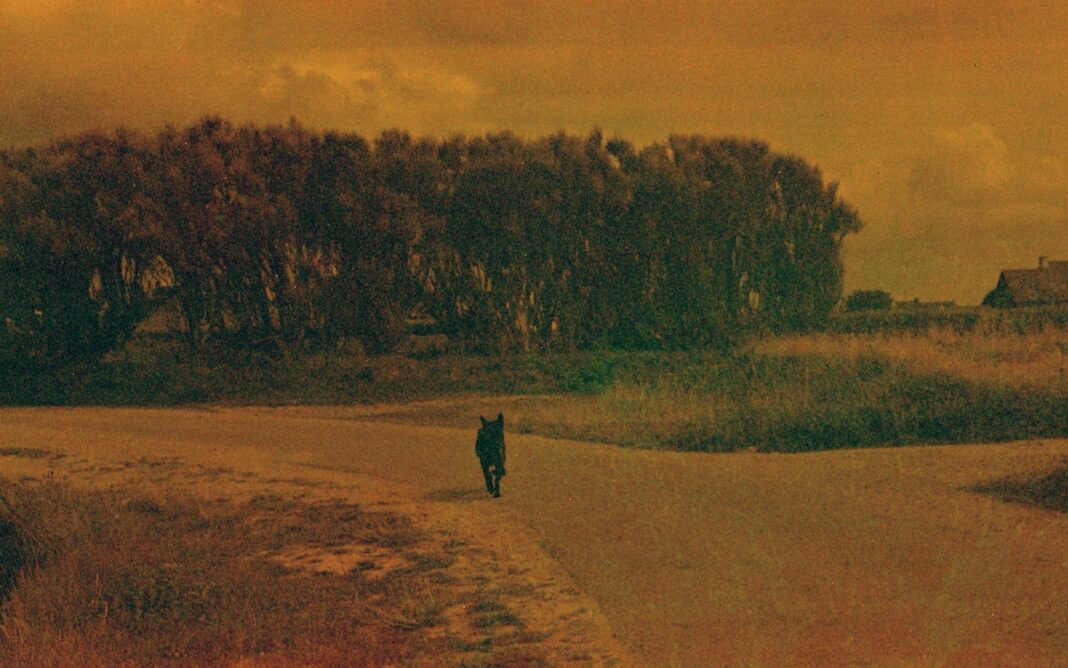 Nanténé Traoré — pays des merveilles Maison Européenne de la Photographie Paris
