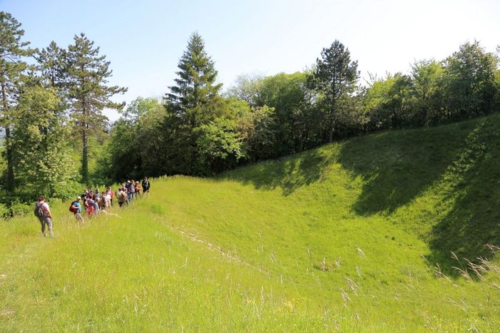 Nature et Histoire, la forêt du renouveau, 55160 Les Éparges, France, Les Éparges
